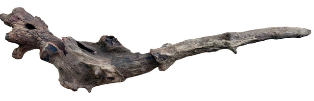 Malaysian Mangrove Wood