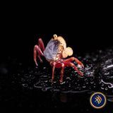 Freshwater Crab - Lepidothelphusa menneri