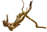 Large Piece of Spiderwood