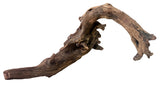 Malaysian Mangrove Sinking Driftwood