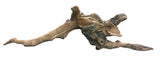  Malaysian Mangrove Sinking Driftwood