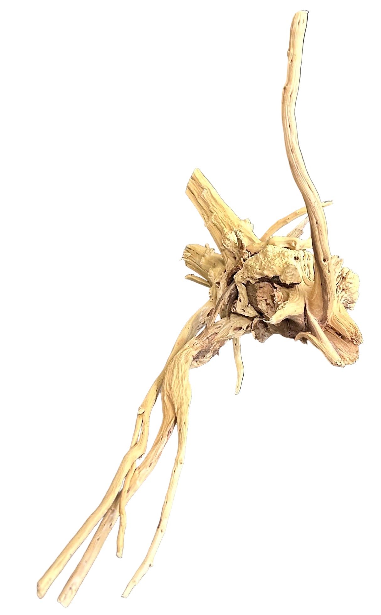 W.Y.S.I.W.Y.G.- 616 -  Piece of Spiderwood | Substrates & Hardscape | Largest Tropical Fish Selection at Your Local Fish Store