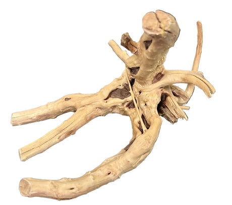 - Piece of Spiderwood