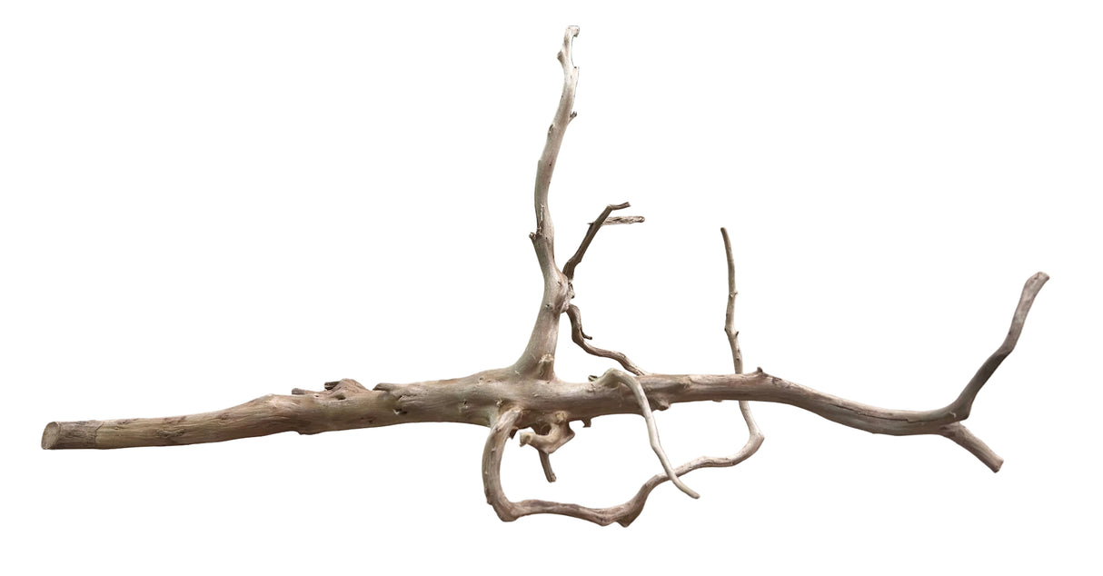 Red Moor Spiderwood&nbsp;
