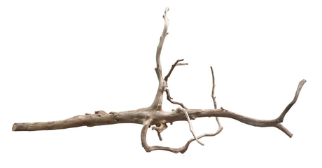 Red Moor Spiderwood&nbsp;
