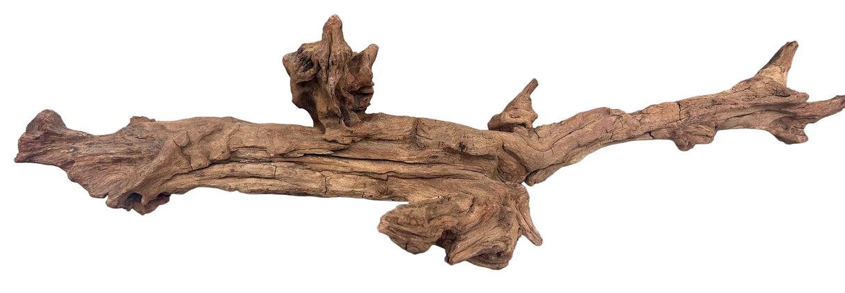 Malaysian Mangrove Wood