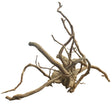 XX Large Piece of Spiderwood