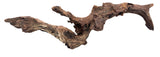 Malaysian Mangrove Sinking Driftwood