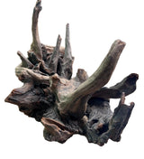  Malaysian Mangrove Sinking Driftwood