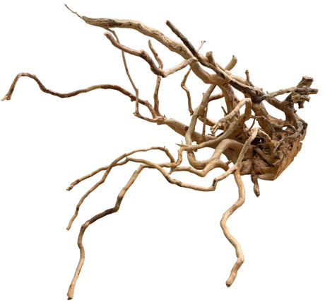 Piece of Spiderwood