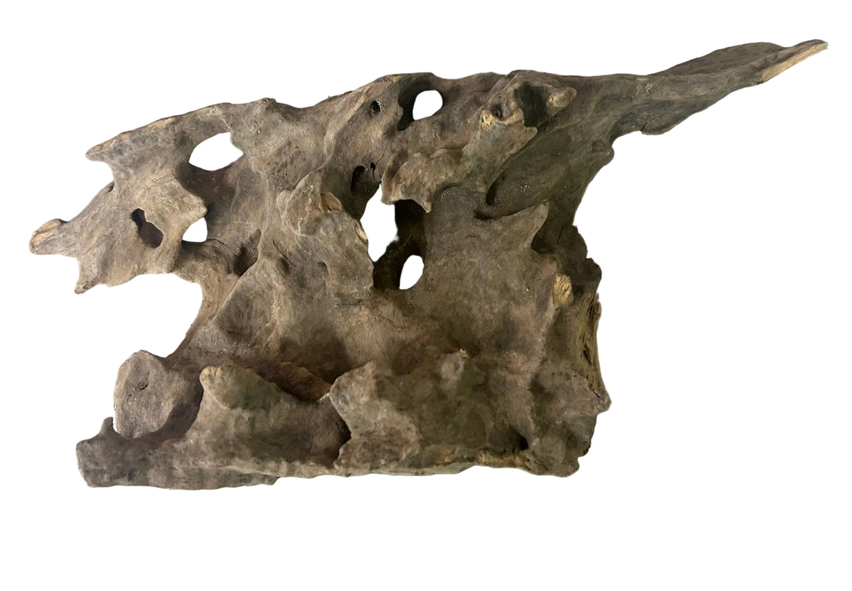  Texture / Shrimp Driftwood