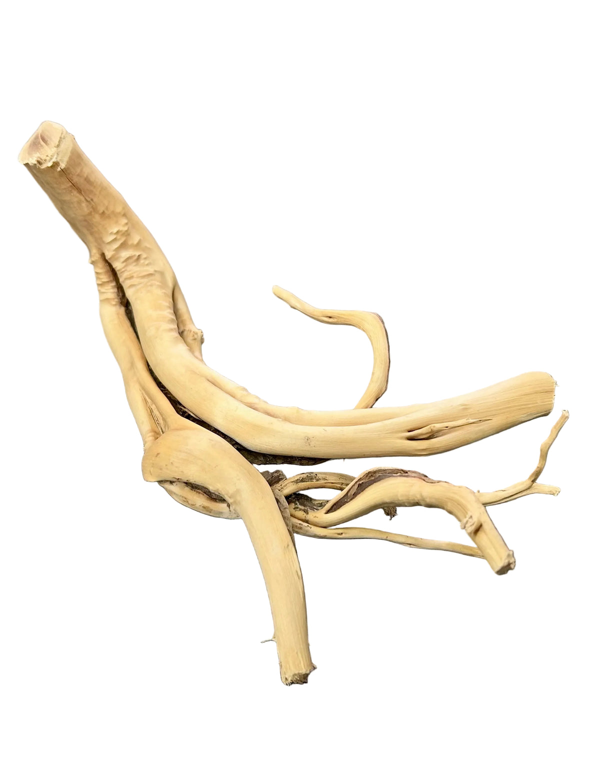 Piece of Spiderwood