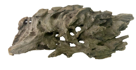 Texture / Shrimp Driftwood
