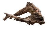 Malaysian Mangrove Sinking Driftwood