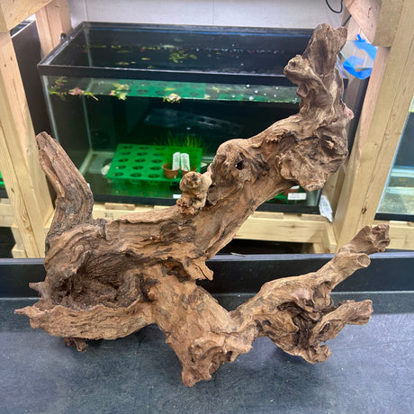 W.Y.S.I.W.Y.G.- 407 - Malaysian Mangrove Wood