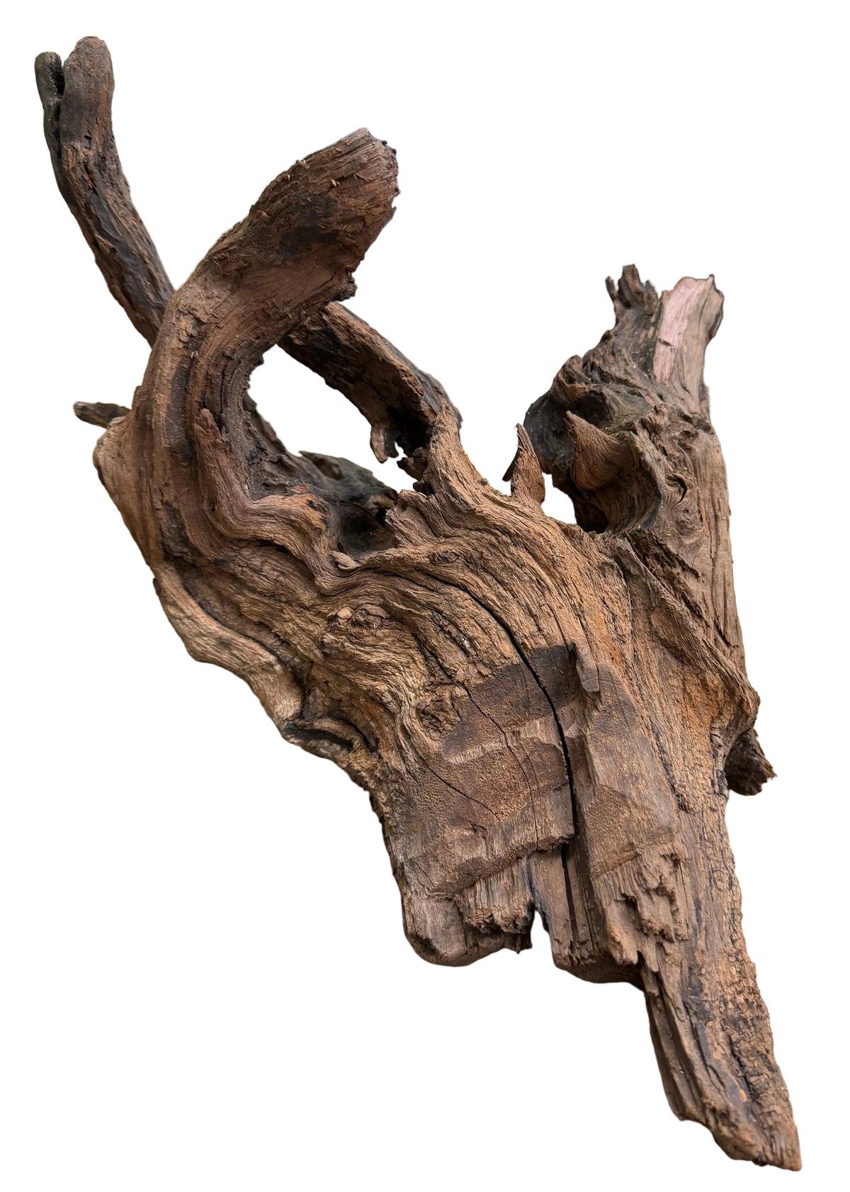  Malaysian Sinking  Driftwood