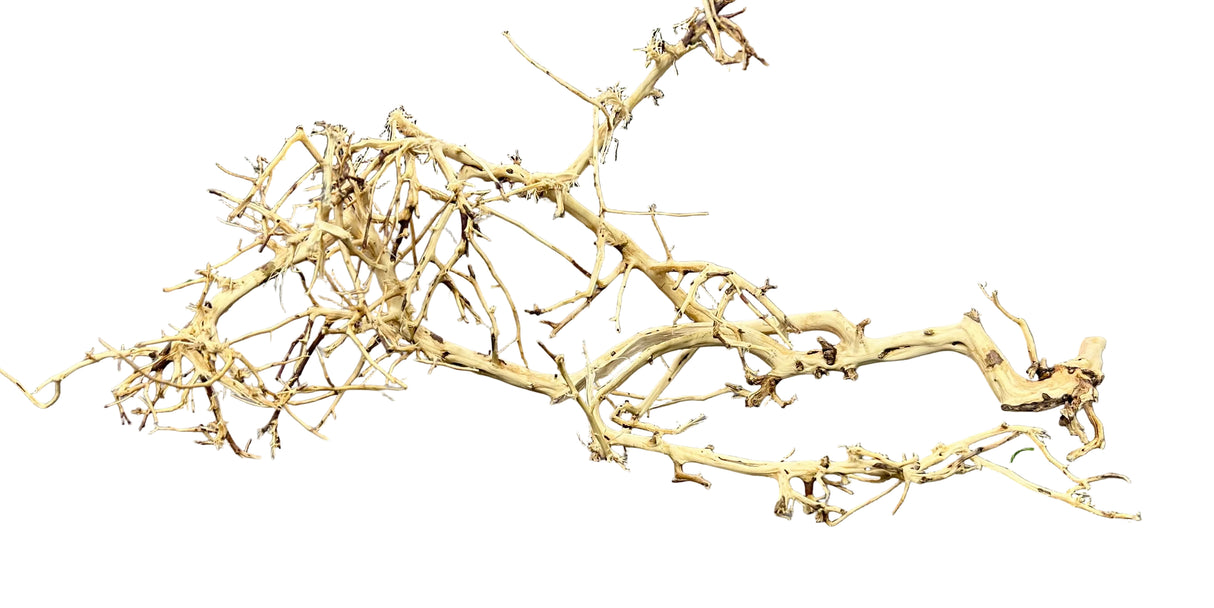 Thailand Branch Wood