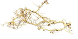 Thailand Branch Wood