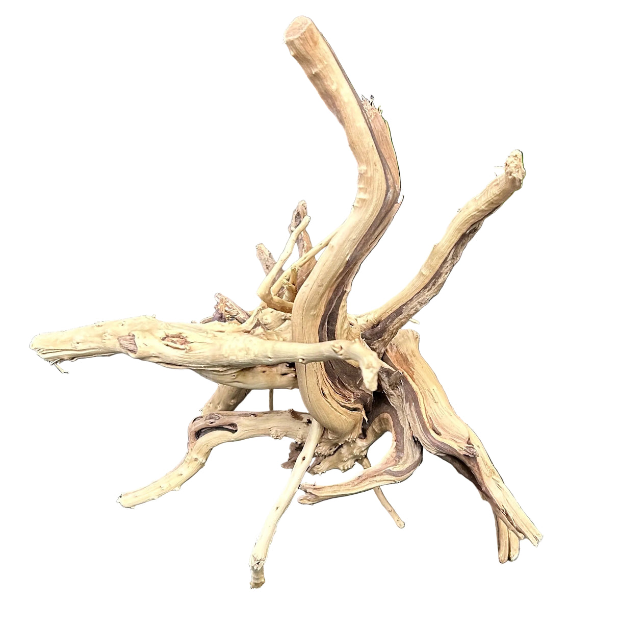 W.Y.S.I.W.Y.G.- 608 - Piece Spiderwood | Substrates & Hardscape | Largest Tropical Fish Selection at Your Local Fish Store