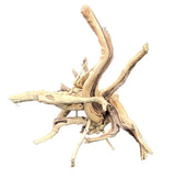 W.Y.S.I.W.Y.G.- 608 - Piece Spiderwood | Substrates & Hardscape | Largest Tropical Fish Selection at Your Local Fish Store