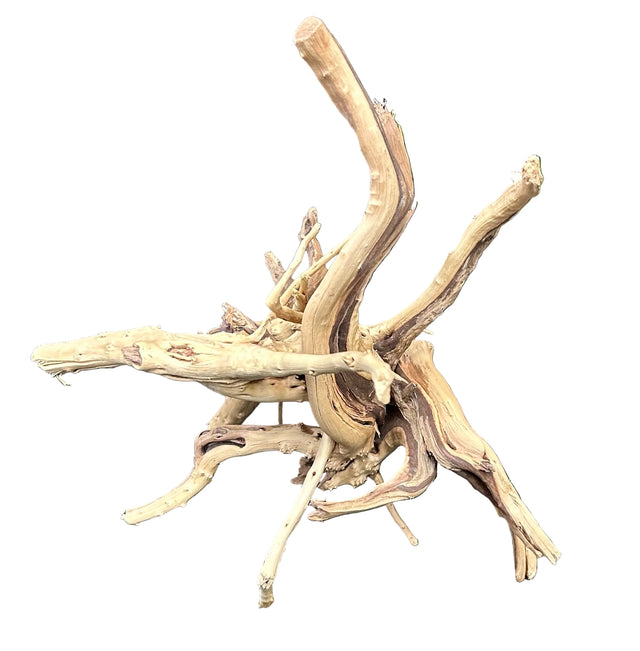 W.Y.S.I.W.Y.G.- 608 - Piece Spiderwood | Substrates & Hardscape | Largest Tropical Fish Selection at Your Local Fish Store