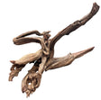  Malaysian Sinking Driftwood