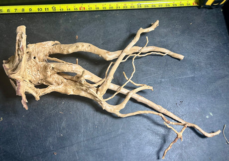 W.Y.S.I.W.Y.G. 102 - LARGE PIECE SPIDERWOOD