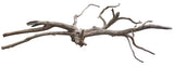  Piece of Red Moor Spiderwood
