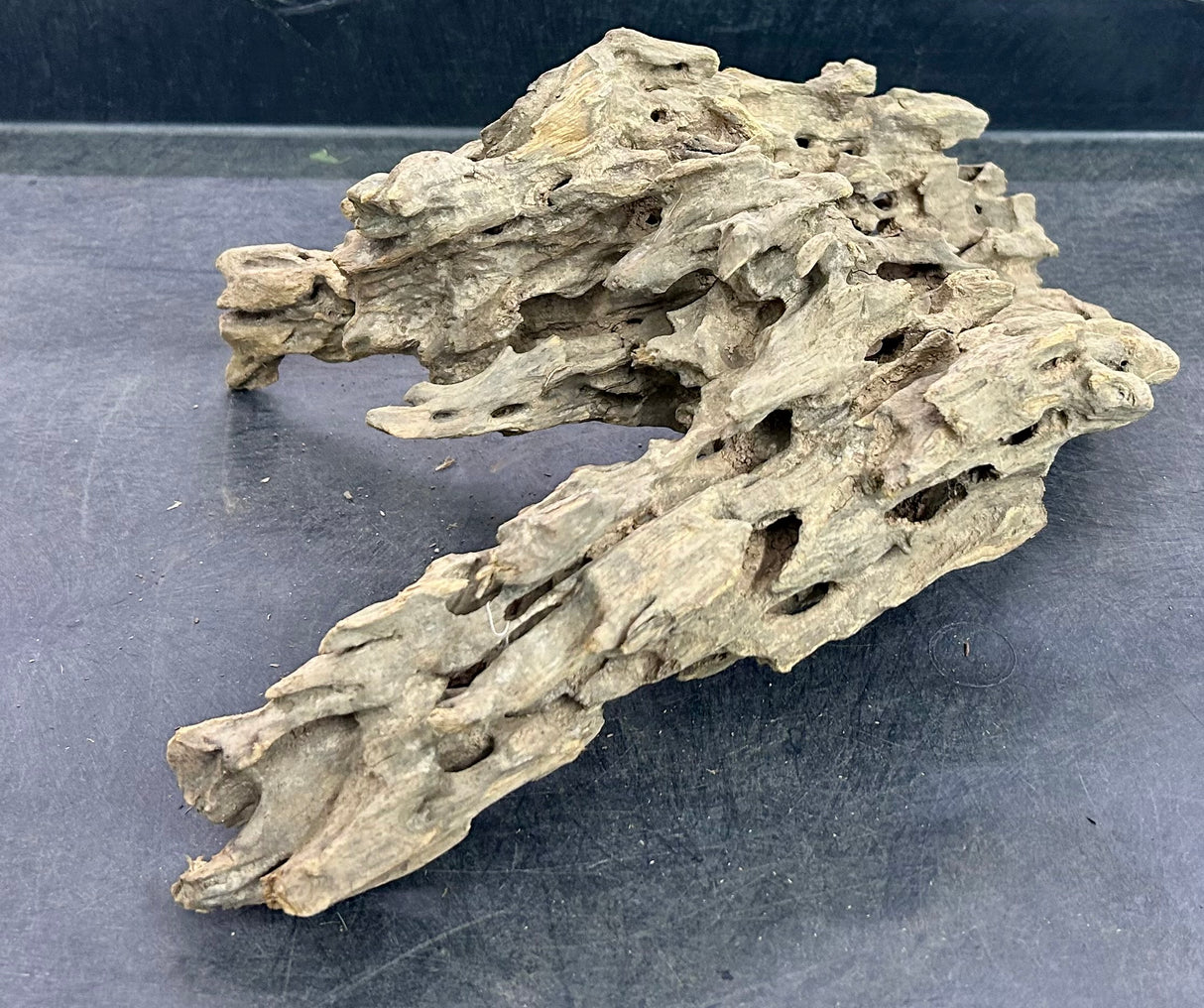 W.Y.S.I.W.Y.G.- 203 - Texture / Shrimp Driftwood