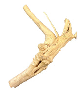 Piece of Spiderwood