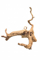 Large Piece of Spiderwood