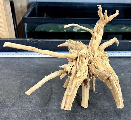 W.Y.S.I.W.Y.G.- 603 -  Piece of Spiderwood | Substrates & Hardscape | Largest Tropical Fish Selection at Your Local Fish Store
