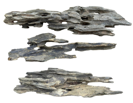 Texture / Shrimp Driftwood