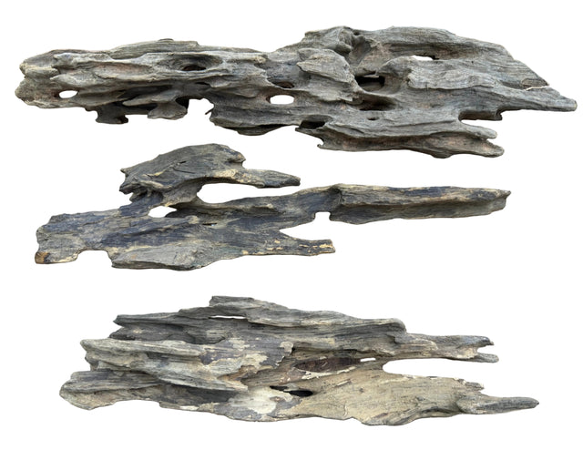 Texture / Shrimp Driftwood