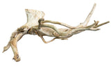 Large Piece of Spiderwood
