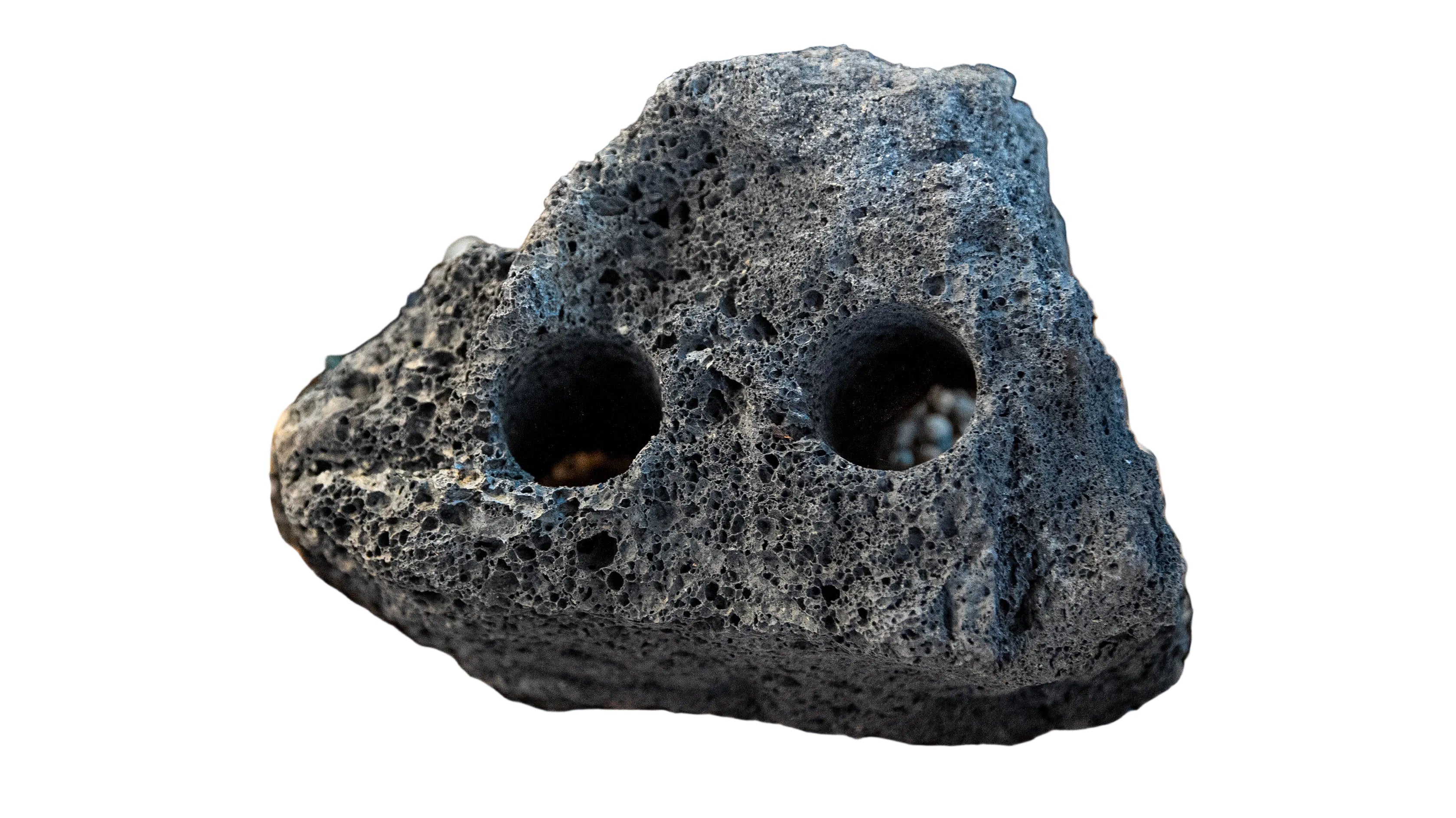 Buy Black Lava Rock Drilled (per piece) Online - Your Local Fish