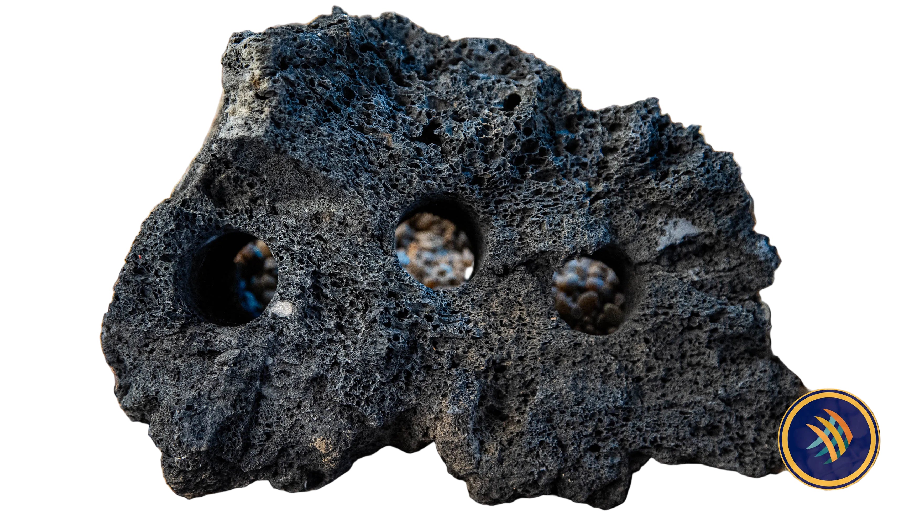 Buy Black Lava Rock Drilled (per piece) Online - Your Local Fish