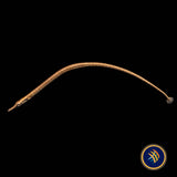 Dwarf Pipefish (Doryichthys deokhatoides) 6.5cm | Other Livestock | Largest Tropical Fish Selection at Your Local Fish Store
