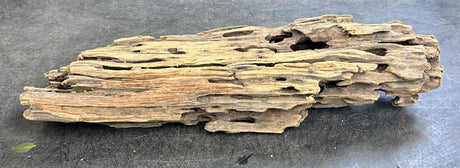 W.Y.S.I.W.Y.G.- 214  - Texture / Shrimp Driftwood
