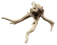 Piece of Spiderwood