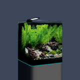 Dennerle Nano Cube Complete Kits Aquariums Dennerle Nano Cube Complete Kits