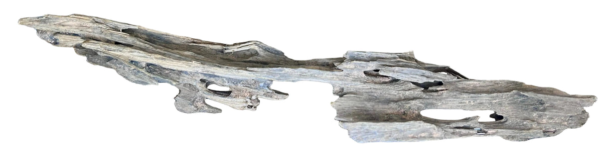 Texture / Shrimp Driftwood