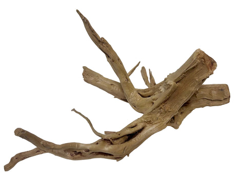 Spiderwood 