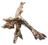 Malaysian Mangrove Sinking Driftwood