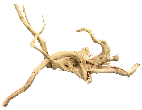 Large Piece of Spiderwood