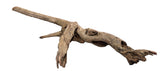 Malaysian Mangrove Sinking Driftwood