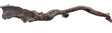 Malaysian Mangrove Sinking Driftwood
