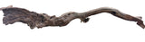 Malaysian Mangrove Sinking Driftwood