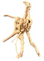 Piece of Spiderwood