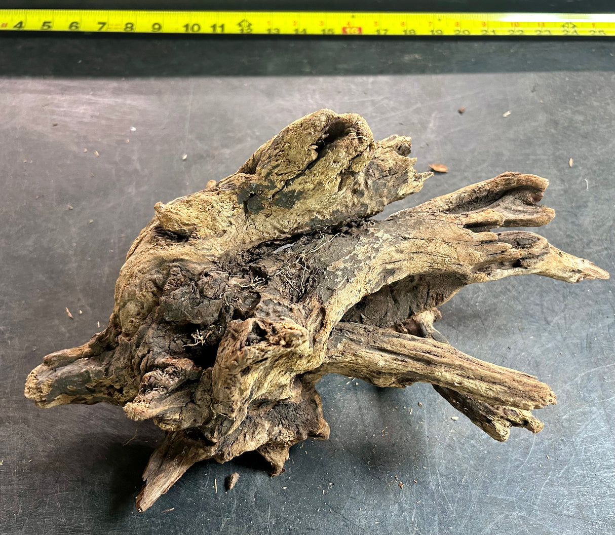 W.Y.S.I.W.Y.G.- 409 - Malaysian Mangrove Wood